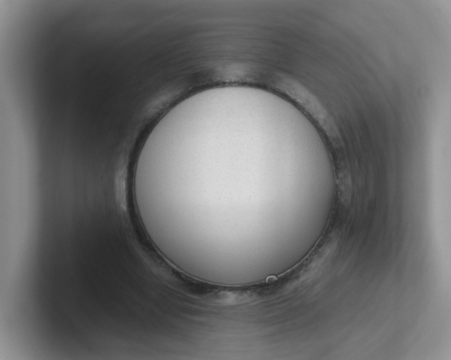 X0000102300442200808081548