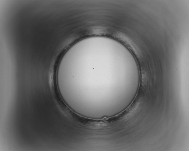 X0000102300443200808081548