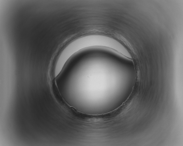 X0000102300444200808081548