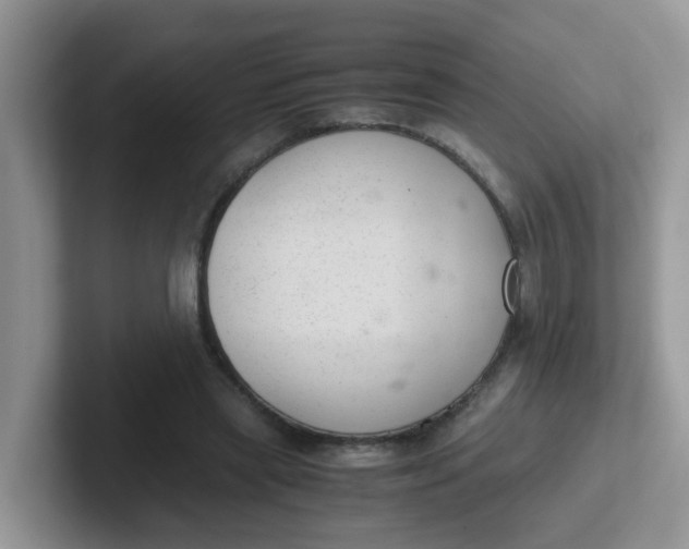 X0000102300445200808081548