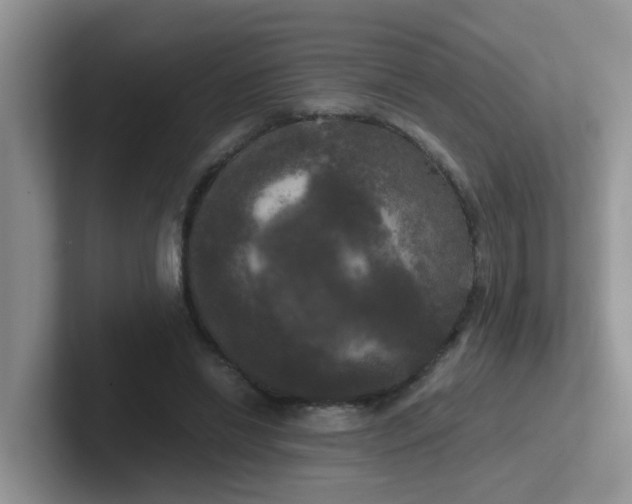 X0000102300446200808081548