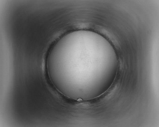 X0000102300447200808081548