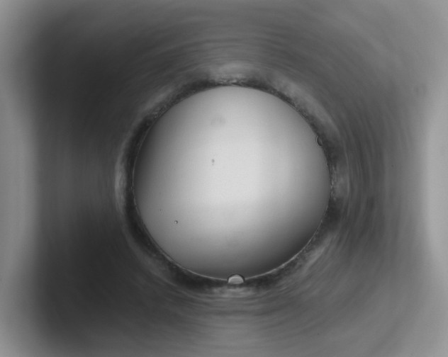 X0000102300448200808081548