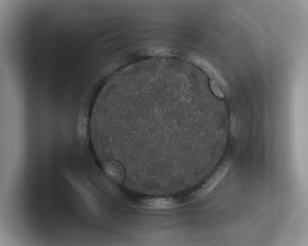 X0000102300449200808081548