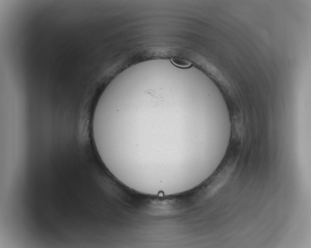 X0000102300450200808081548