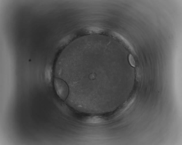 X0000102300451200808081548