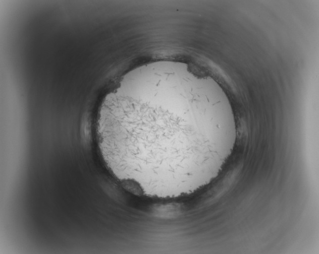 X0000102300452200808081548