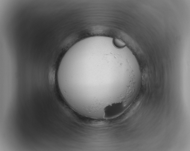 X0000102300454200808081548