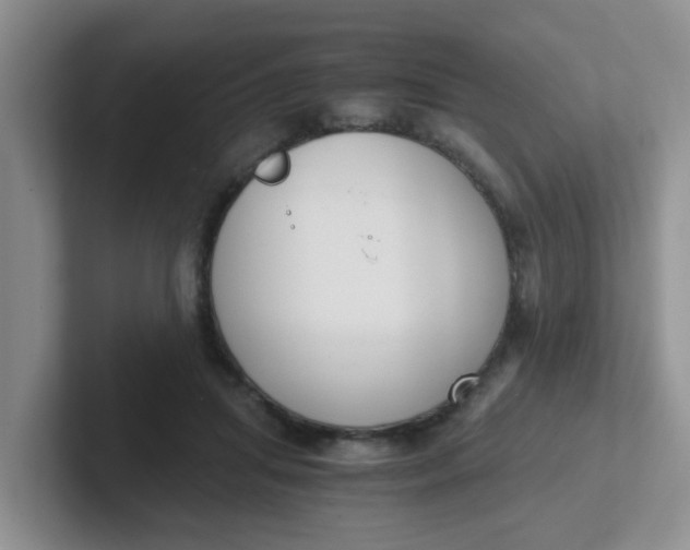 X0000102300455200808081548