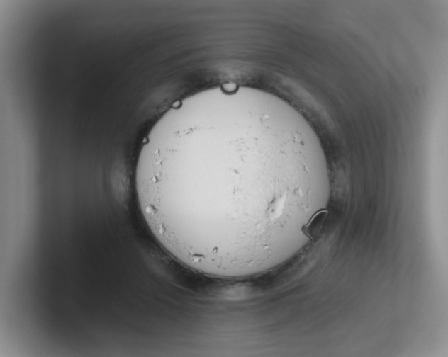 X0000102300456200808081548