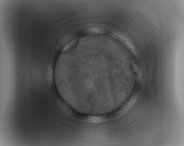 X0000102300457200808081548