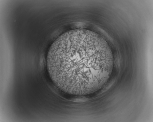 X0000102300459200808081548