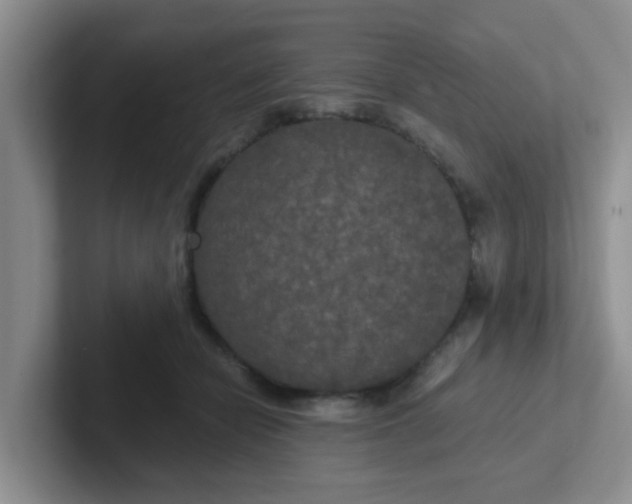 X0000102300462200808081548