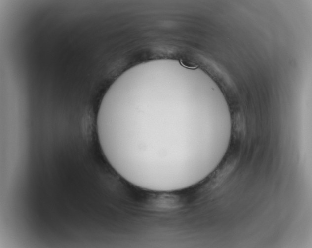 X0000102300463200808081548