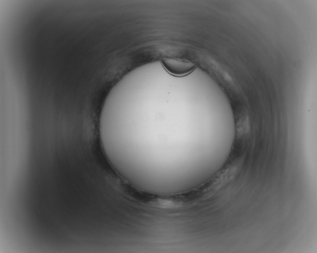 X0000102300464200808081548