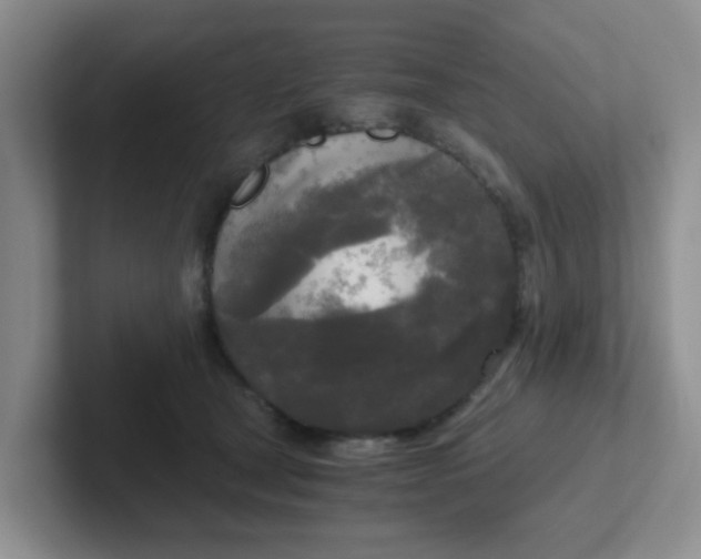 X0000102300465200808081548