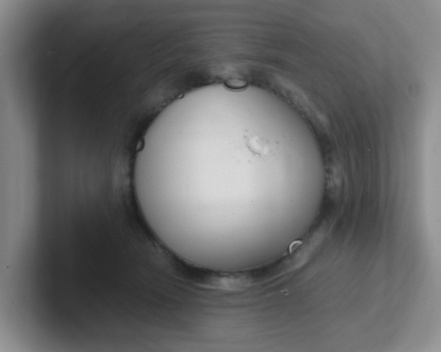 X0000102300466200808081548