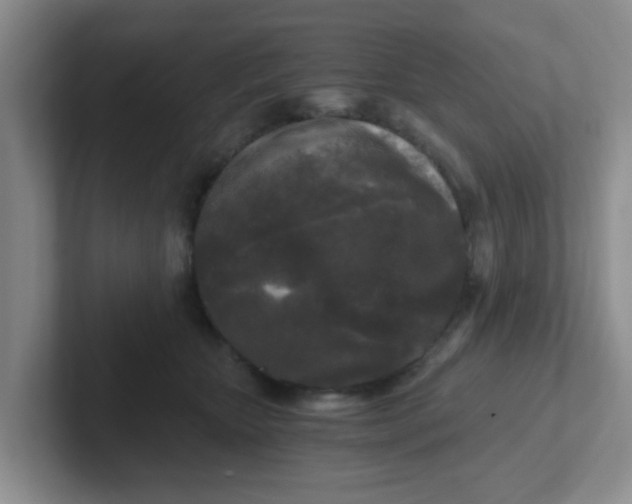 X0000102300467200808081548