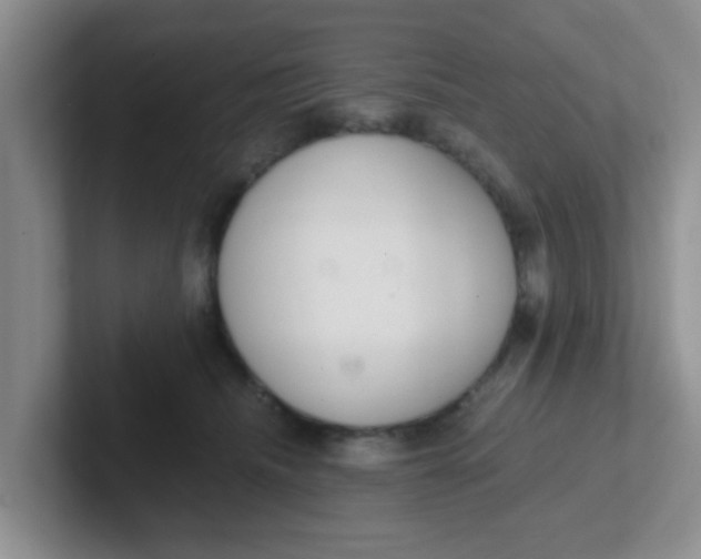 X0000102300468200808081548