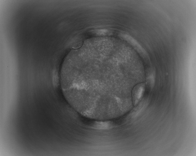 X0000102300469200808081548