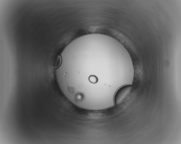 X0000102300470200808081548