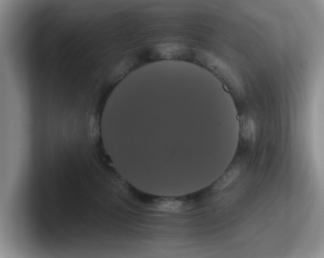 X0000102300471200808081548