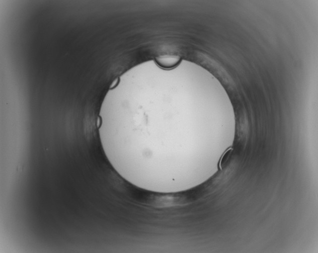 X0000102300473200808081548