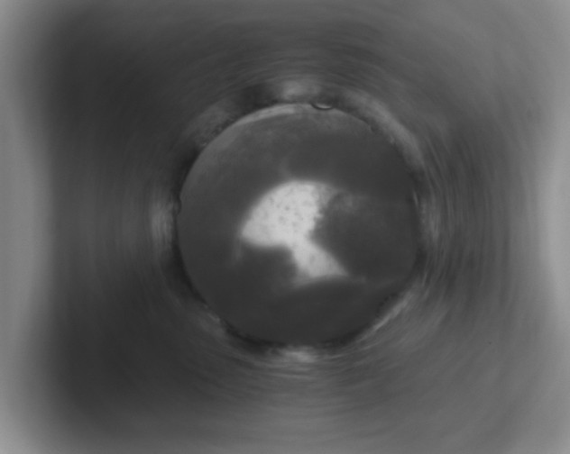 X0000102300475200808081548