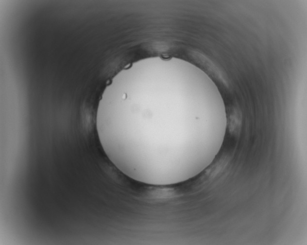 X0000102300476200808081548