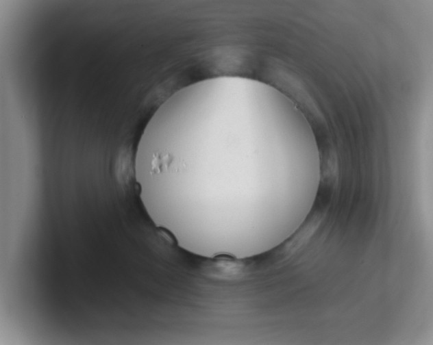 X0000102300478200808081548