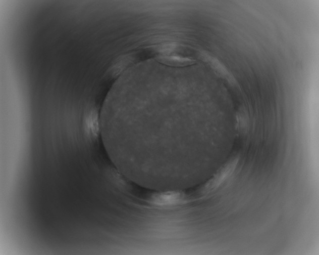 X0000102300479200808081548