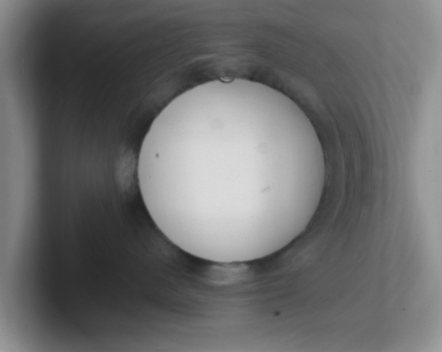 X0000102300480200808081548