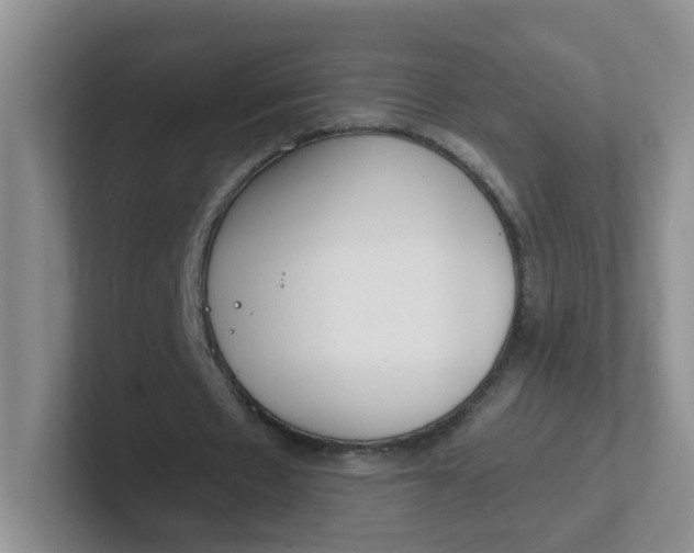 X0000102300481200808081547