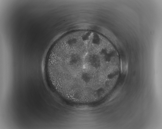 X0000102300483200808081547