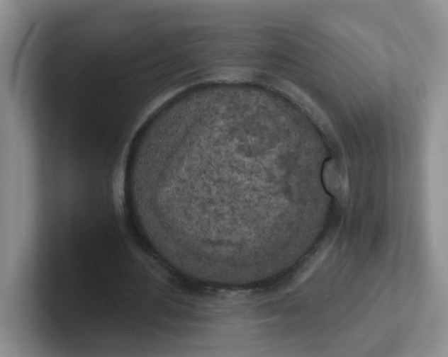 X0000102300484200808081547