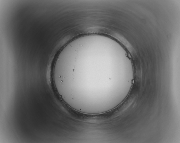 X0000102300485200808081547