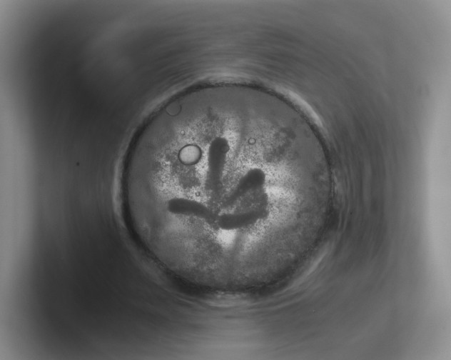 X0000102300487200808081547