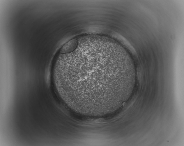 X0000102300488200808081547