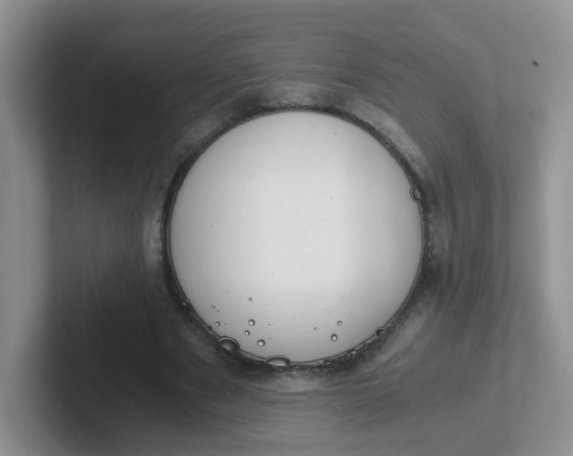 X0000102300489200808081547