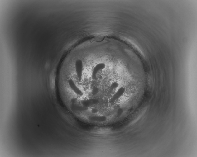 X0000102300491200808081547