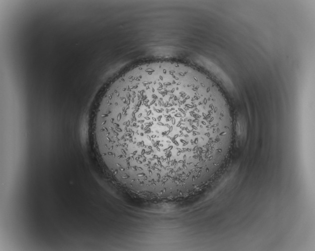 X0000102300492200808081547