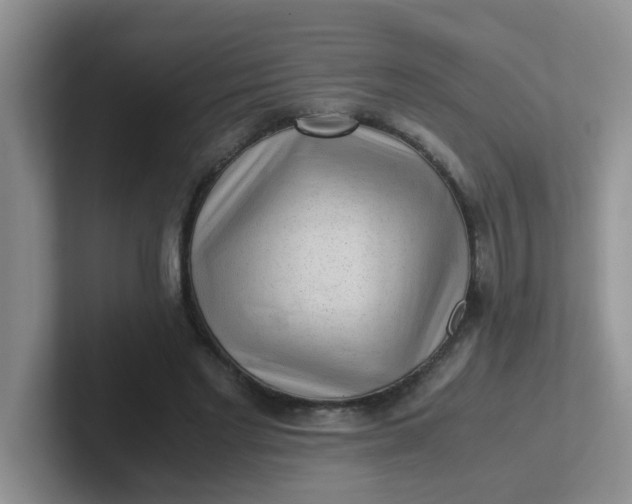 X0000102300493200808081547