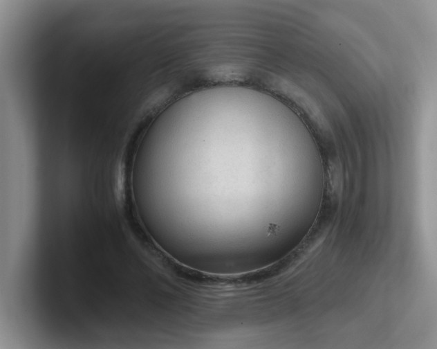 X0000102300494200808081547