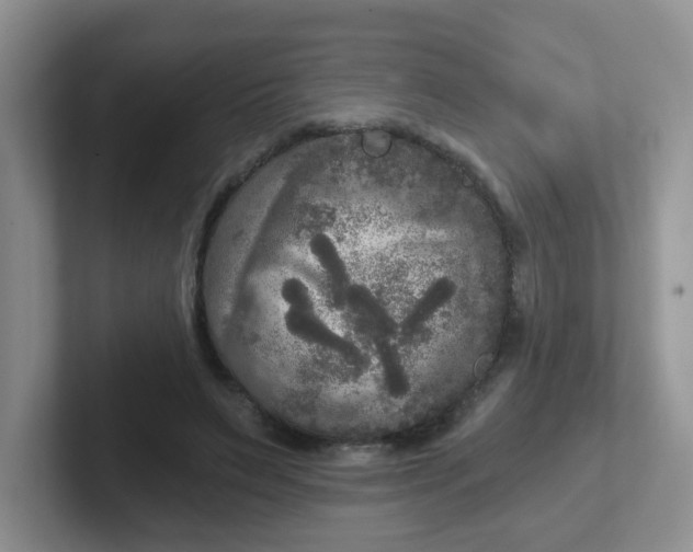 X0000102300495200808081547