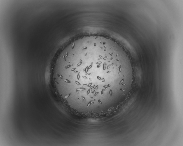 X0000102300496200808081547