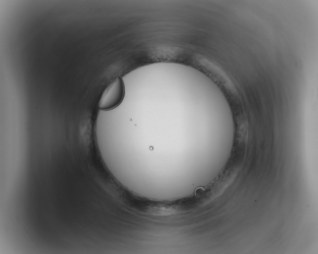 X0000102300498200808081547