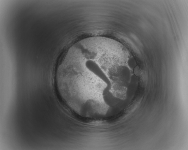 X0000102300499200808081547