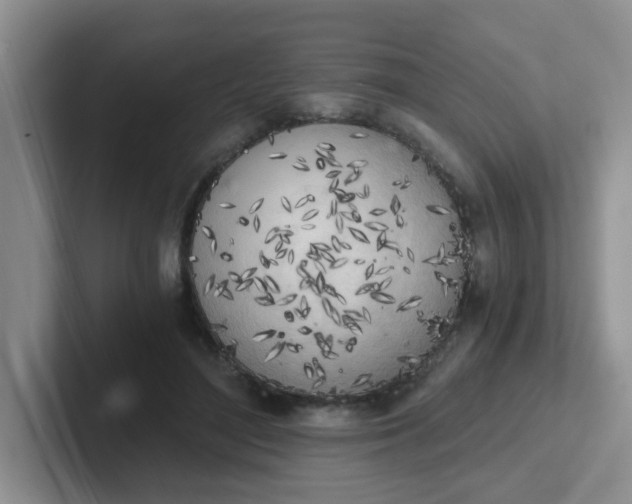 X0000102300500200808081547