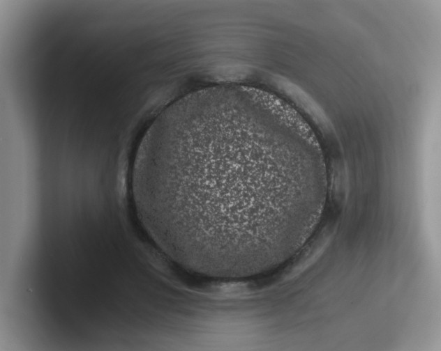 X0000102300501200808081547