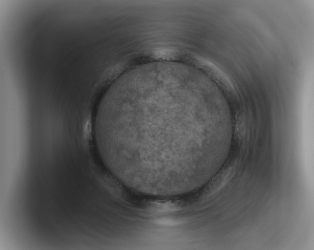 X0000102300502200808081547